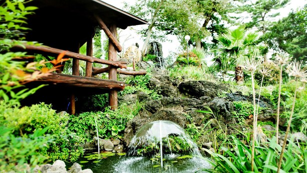 A rustic wooden bridge over a small stream with lush greenery and a waterfall. - Memory In Jeju Pension (Seogwipo)