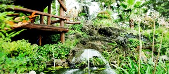 Memory In Jeju Pension