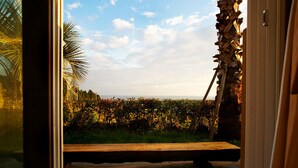A view from a room with a glass door, overlooking a garden with a wooden bench and a palm tree. - Memory In Jeju Pension (Seogwipo)