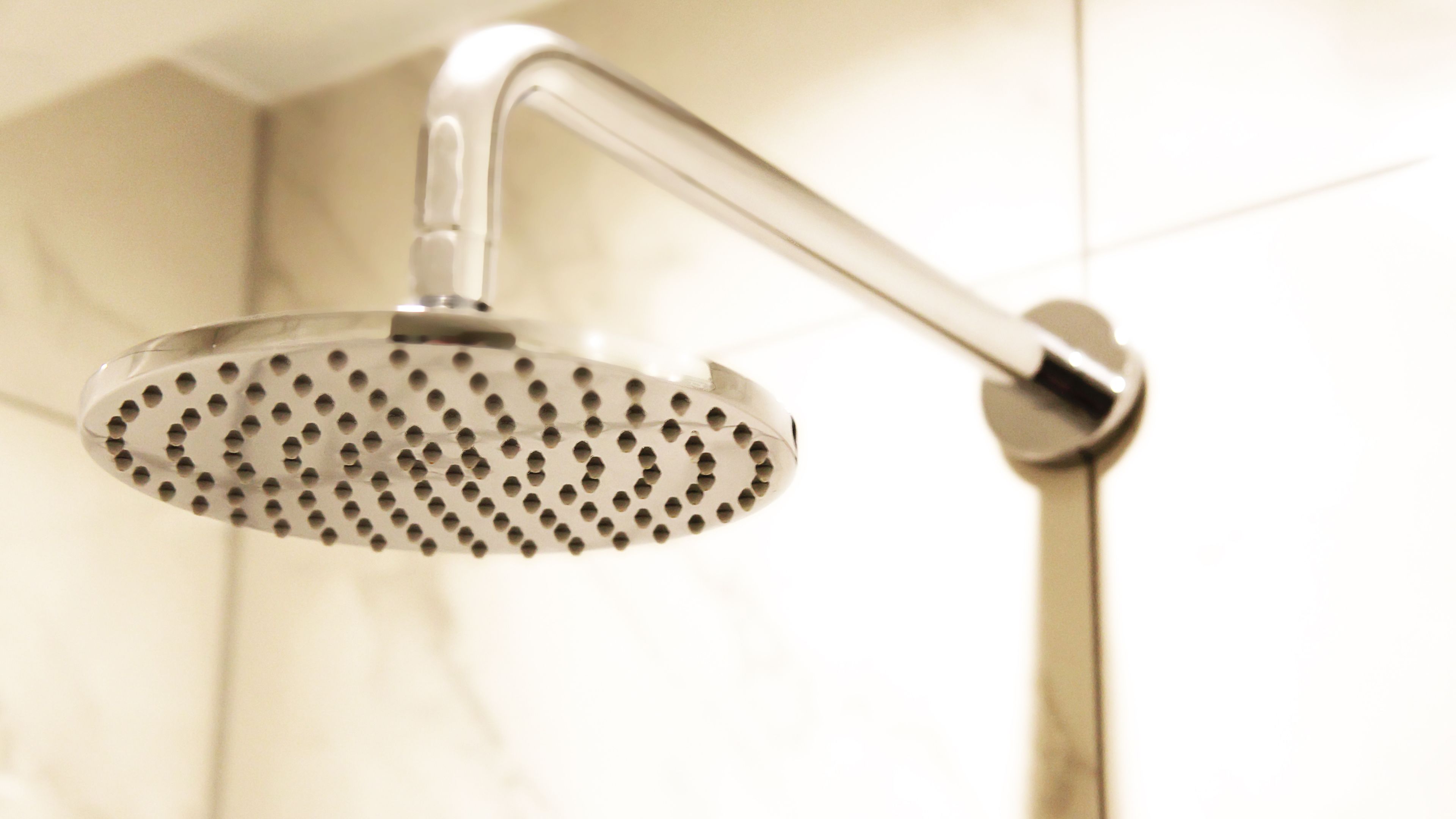 A showerhead with a curved design and a single handle.