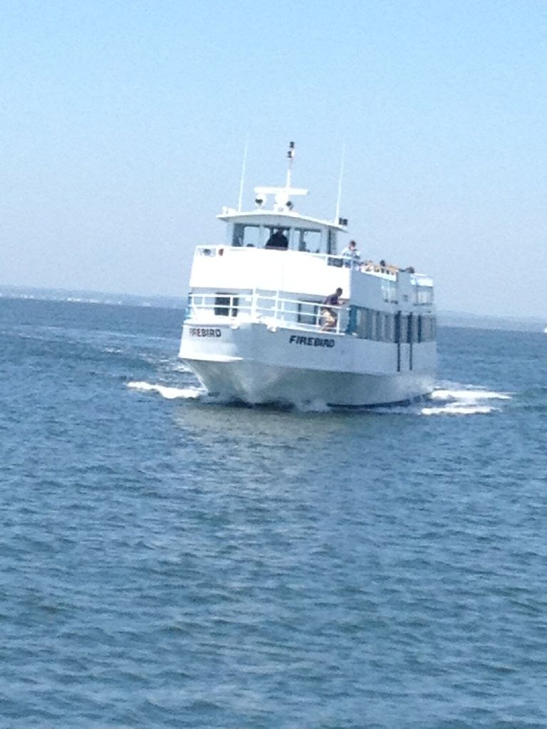Un barco blanco con la inscripción 'FIREBIRD' en el costado, navegando sobre el agua.