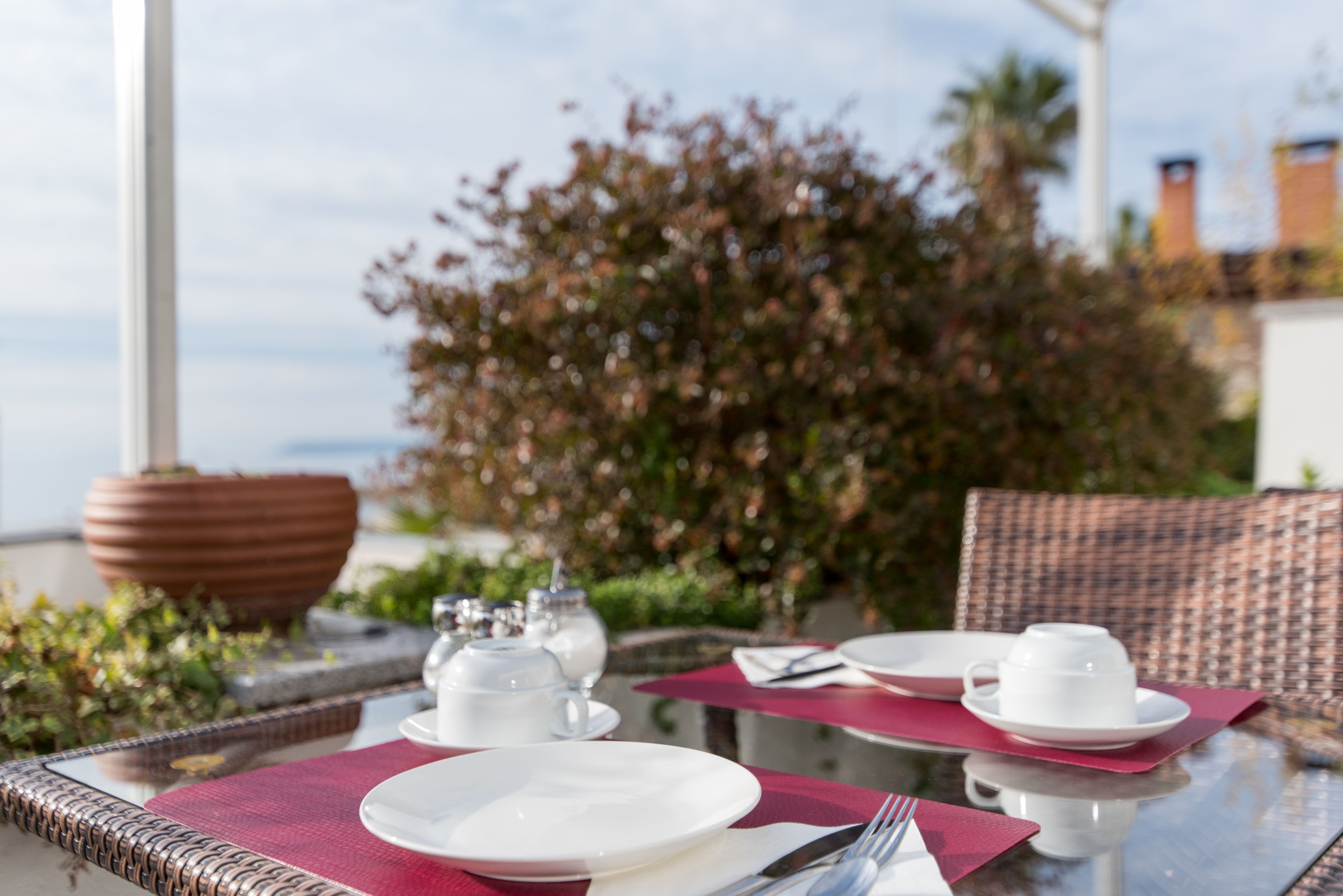 A table set for a meal with white plates, silverware, and a teapot, surrounded by wicker chairs and a potted plant.