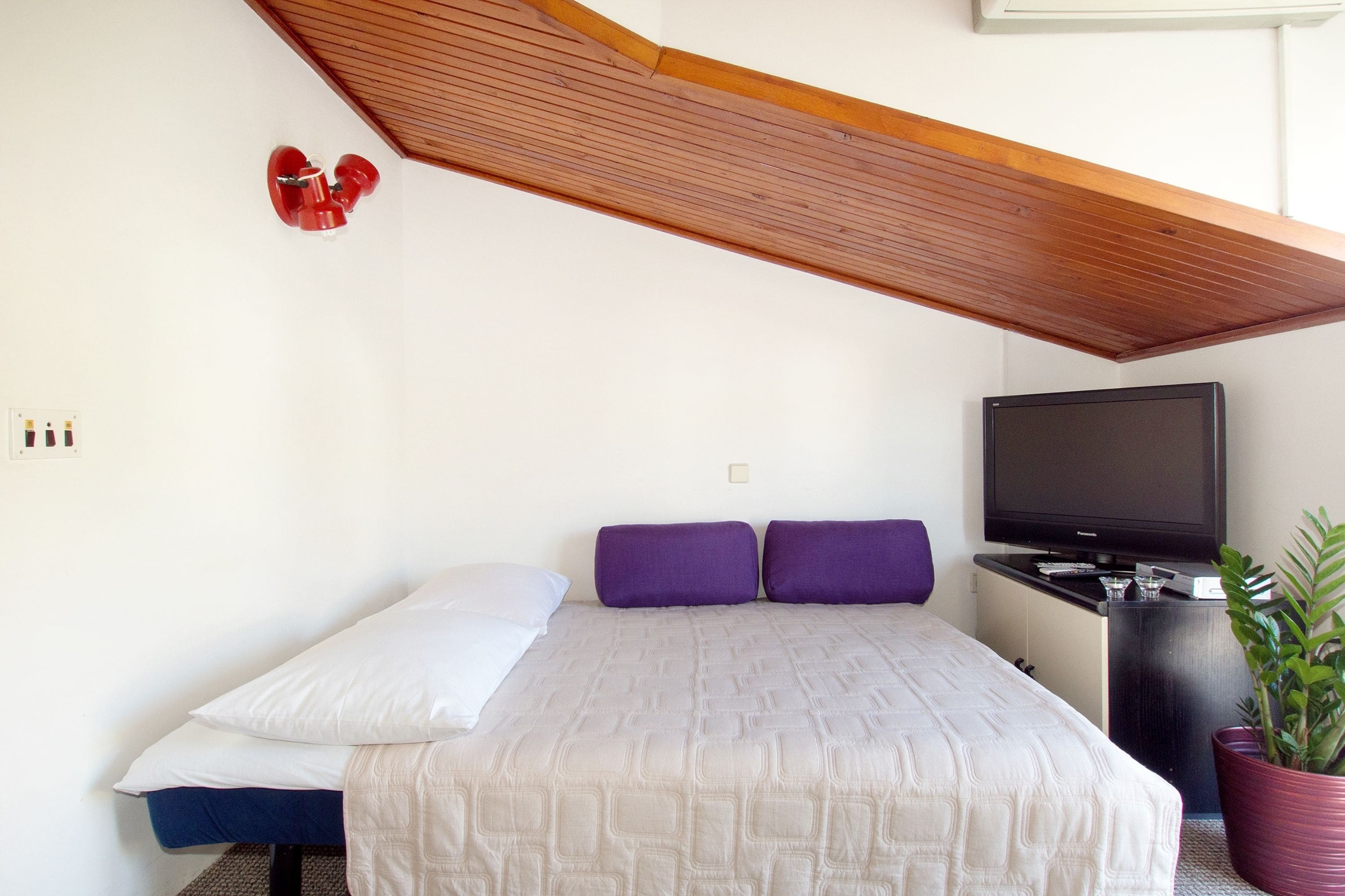 Une chambre à coucher avec un lit, une télévision et une plante.