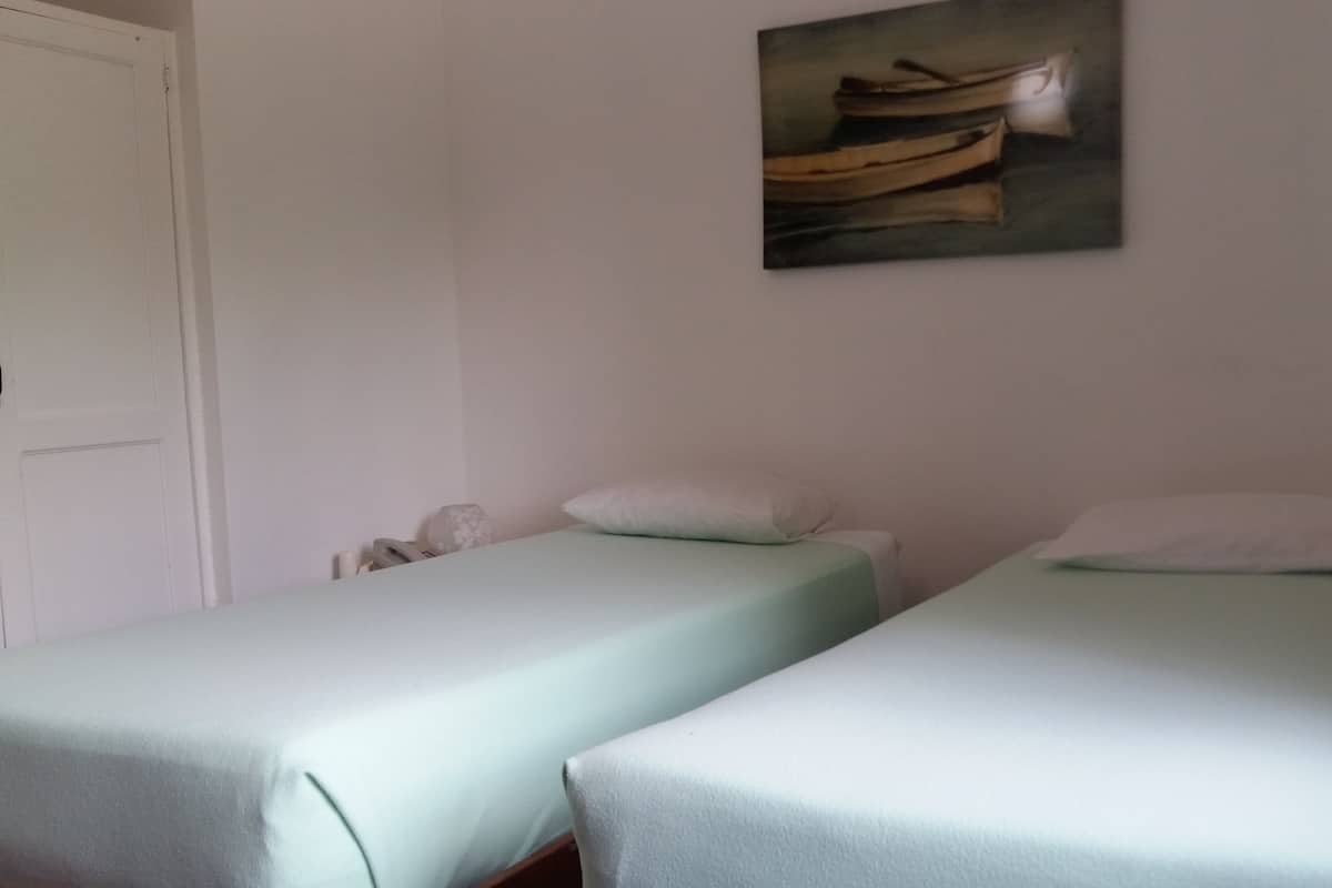 Une chambre avec deux lits simples, une porte et un tableau au mur.