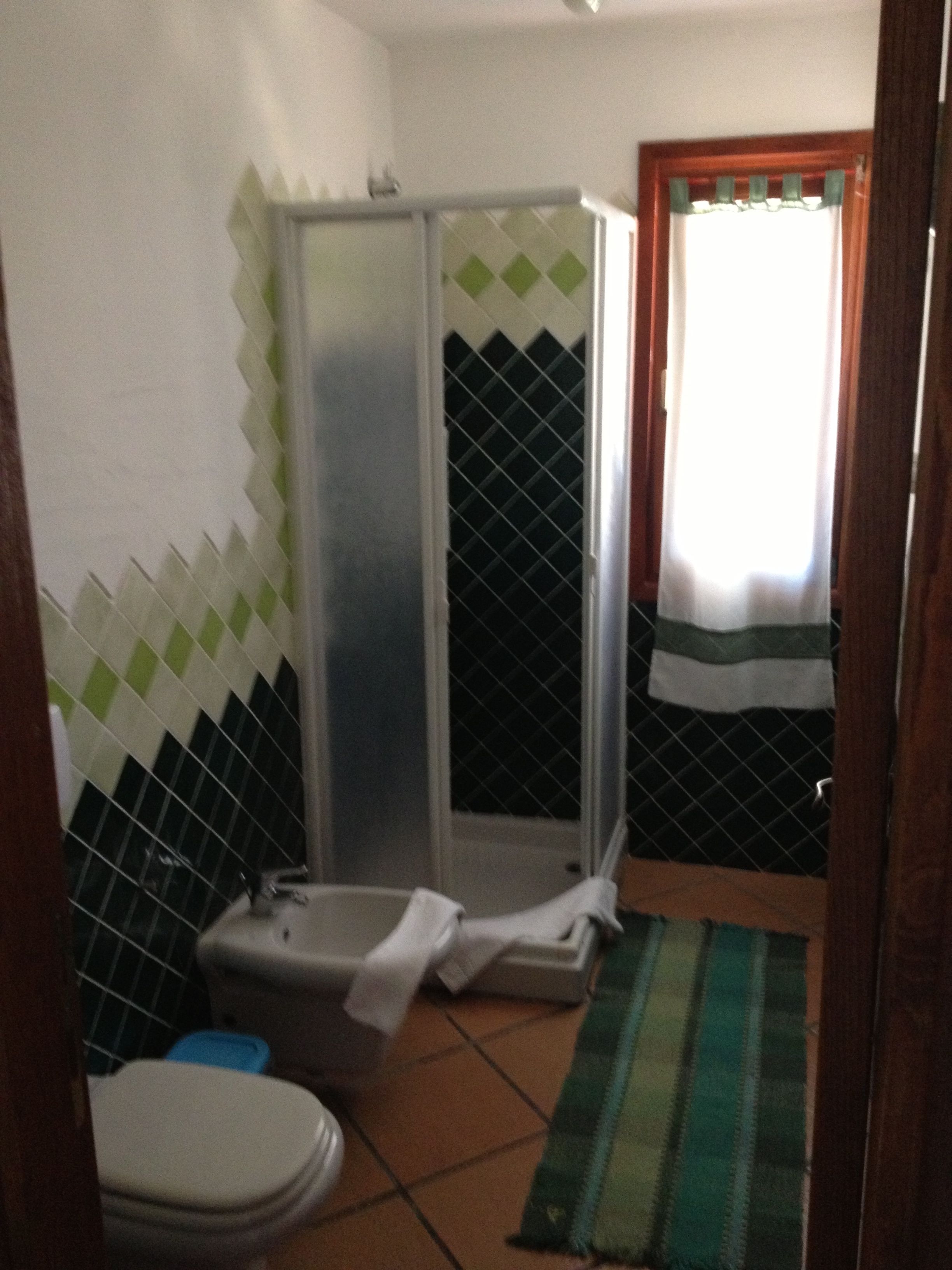 Une salle de bain avec douche, toilettes et lavabo.