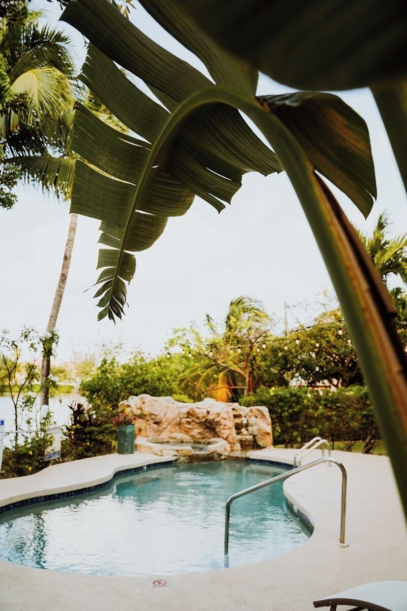 A swimming pool with a stone feature, surrounded by tropical vegetation and a clear sky.