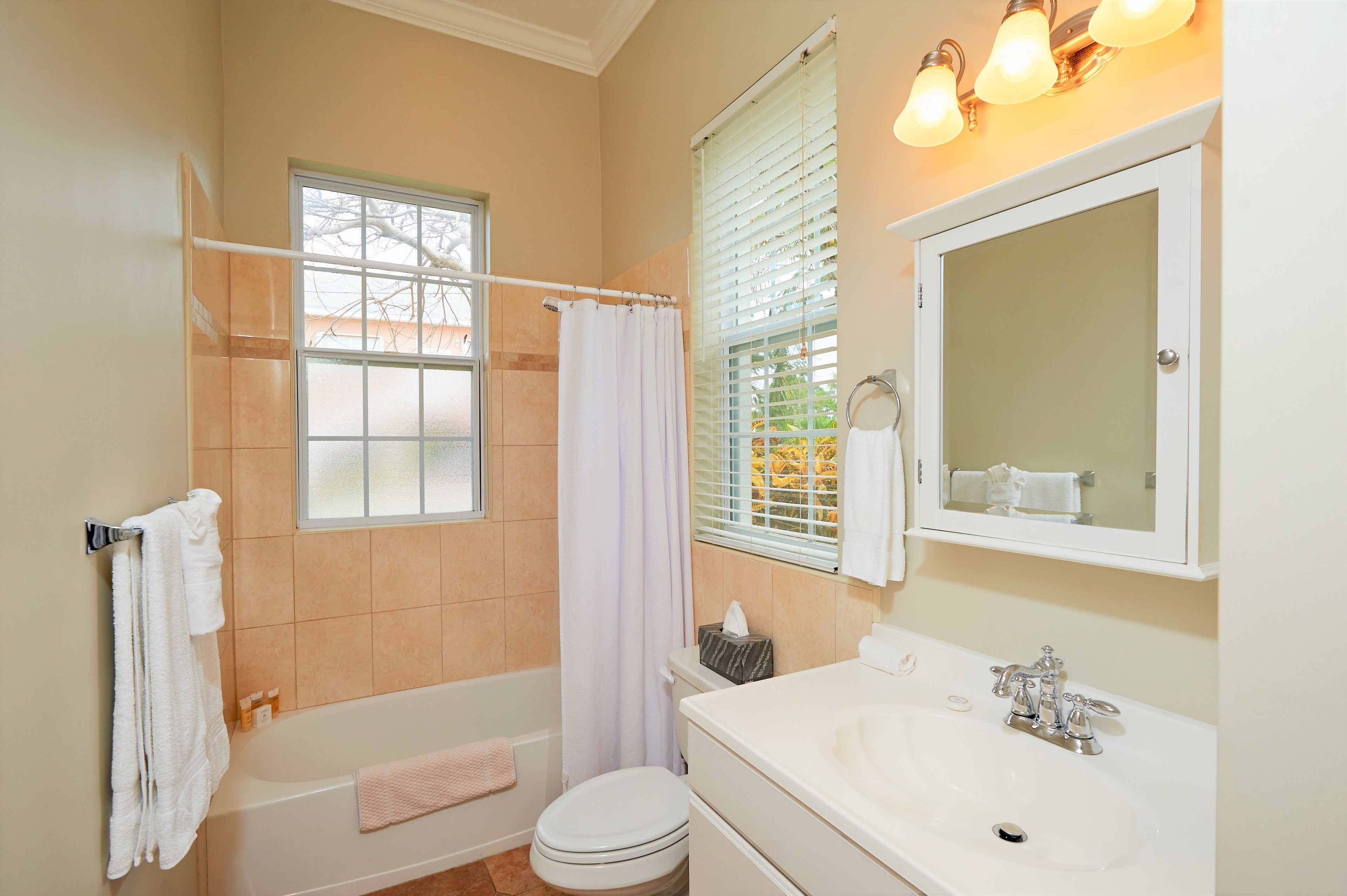 deluxe suite, 1 queen bed, kitchen, ground floor | bathroom | free toiletries, hair dryer, bathrobes, towels