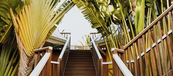 Shangri-La Boutique Bed & Breakfast