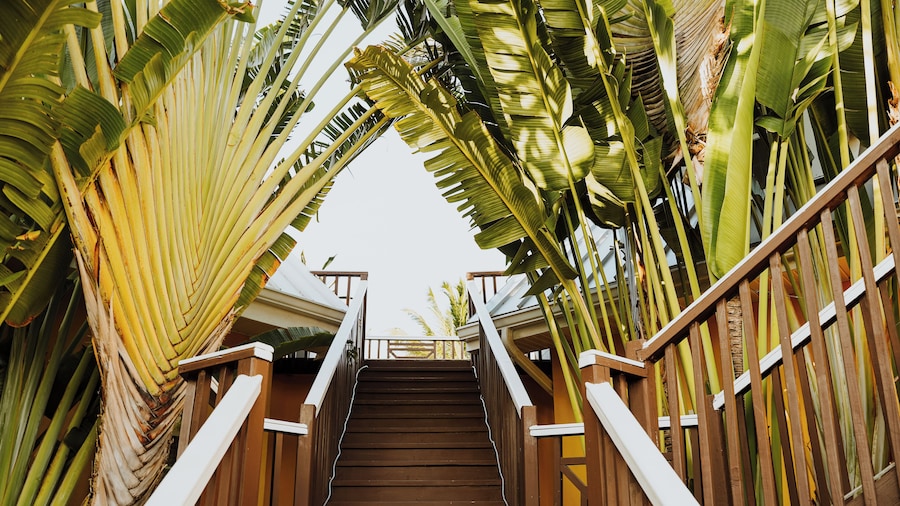 Shangri-La Boutique Bed & Breakfast