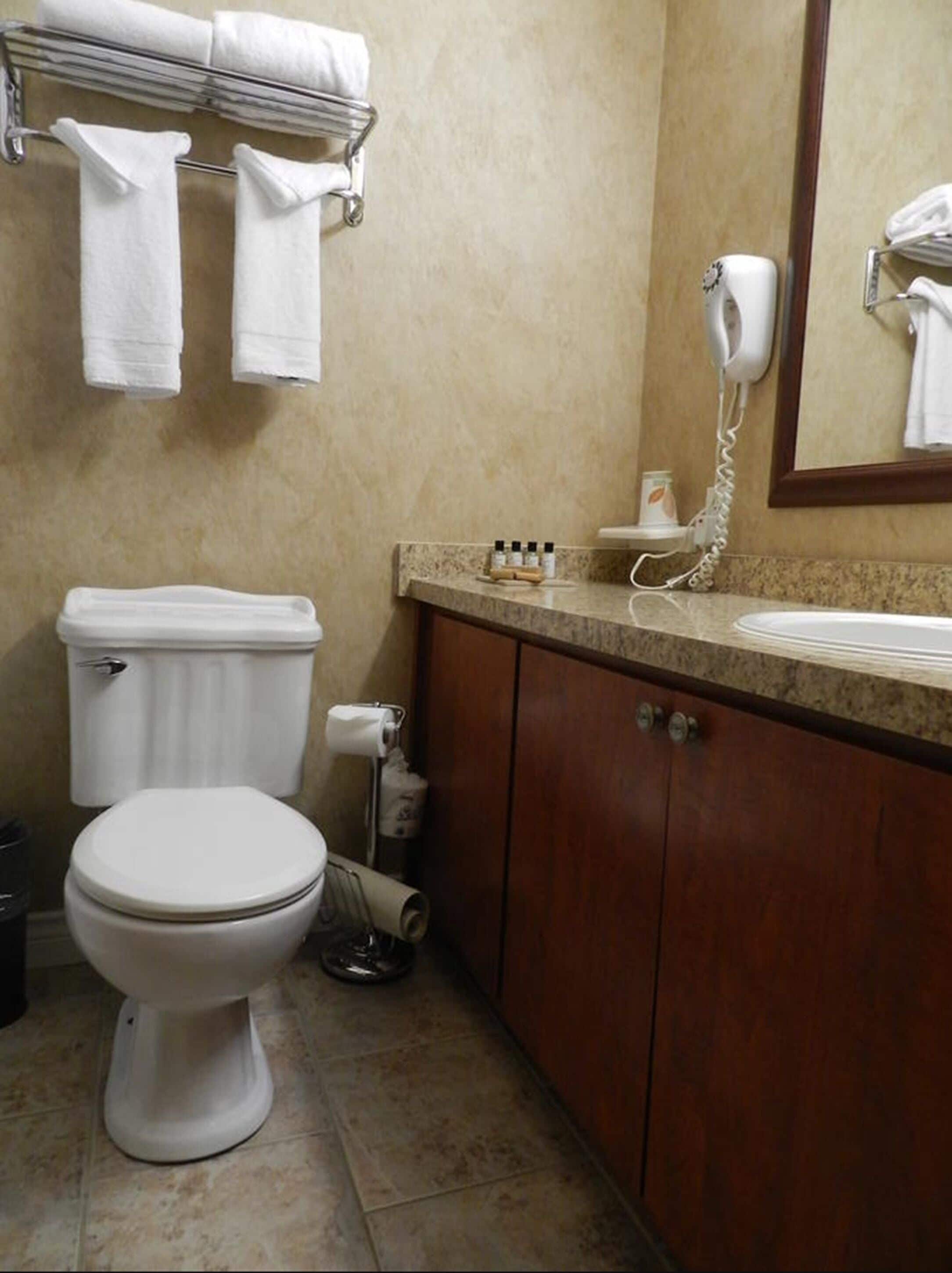 Baño con inodoro, lavamanos, secador de pelo y barra para toallas.