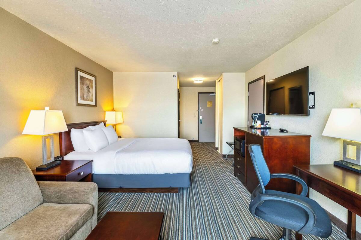 A hotel room with a bed, a desk, a chair, a TV, and a lamp.