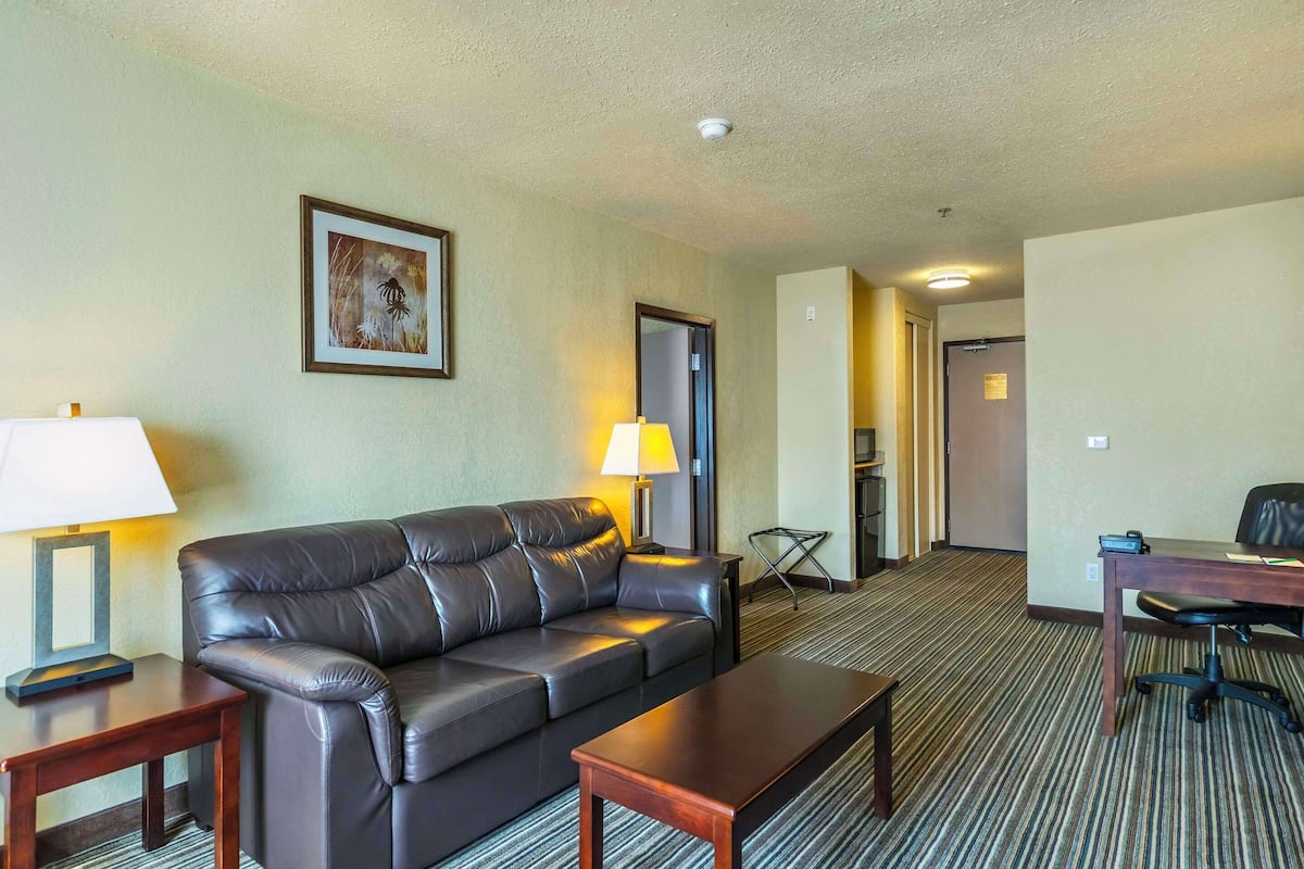 Junior Suite, 1 King Bed with Sofa bed, Non Smoking, Jetted Tub | Pillow-top beds, in-room safe, desk, laptop workspace