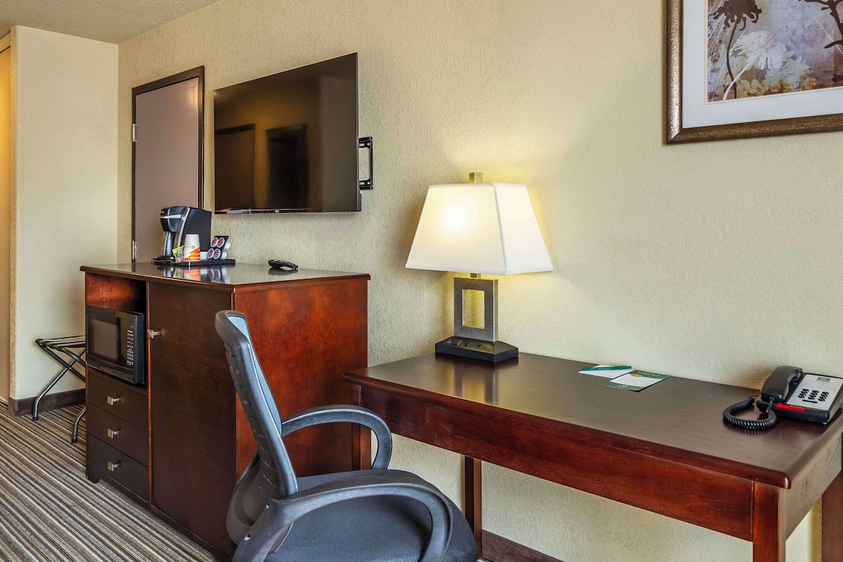 room, 1 queen bed with sofa bed, accessible, non smoking | pillow-top beds, in-room safe, desk, laptop workspace