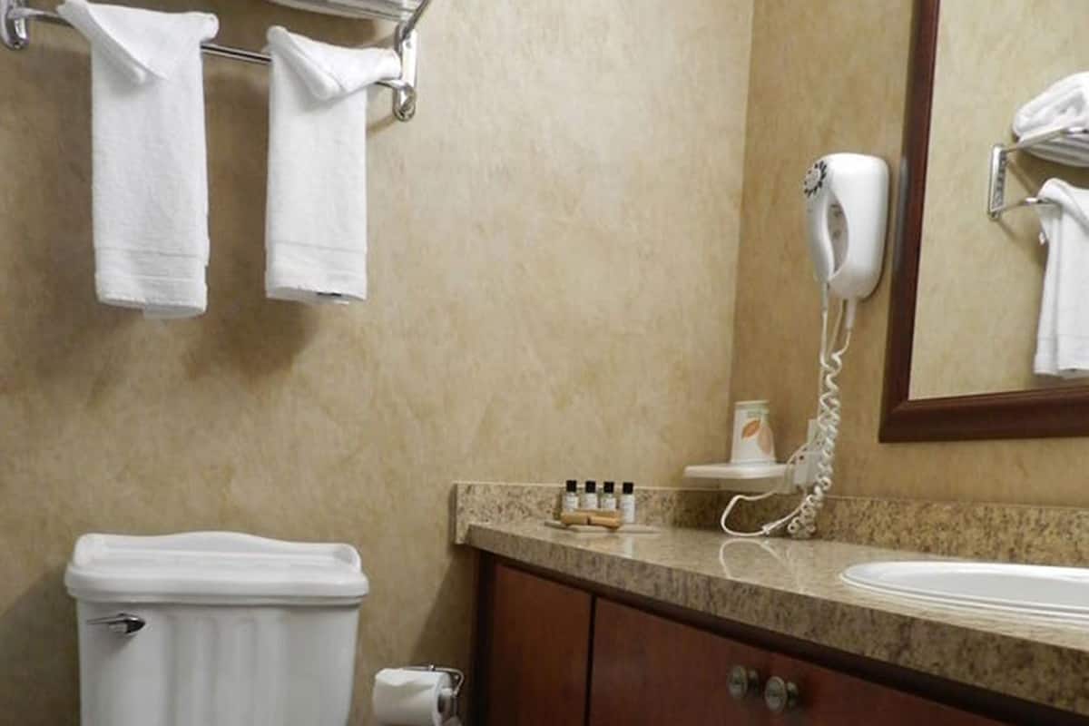 A bathroom with a toilet, a sink, a mirror, a towel rack, and a hairdryer.
