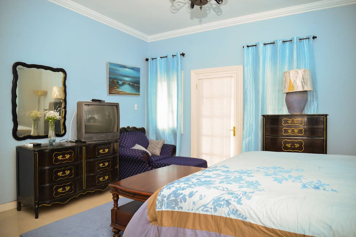 Habitación, 1 cama de matrimonio grande, balcón, planta baja (Blue Room) | Vistas desde la habitación