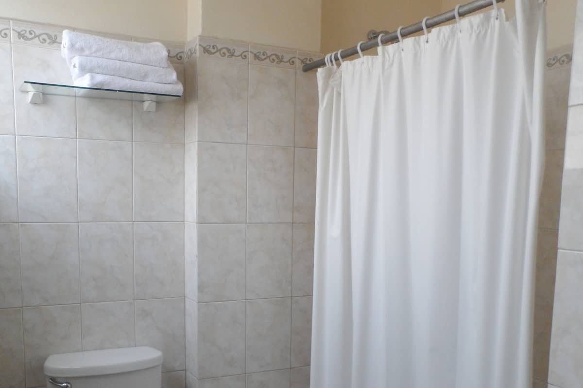 Regadera, amenidades de baño gratuitas, toallas
