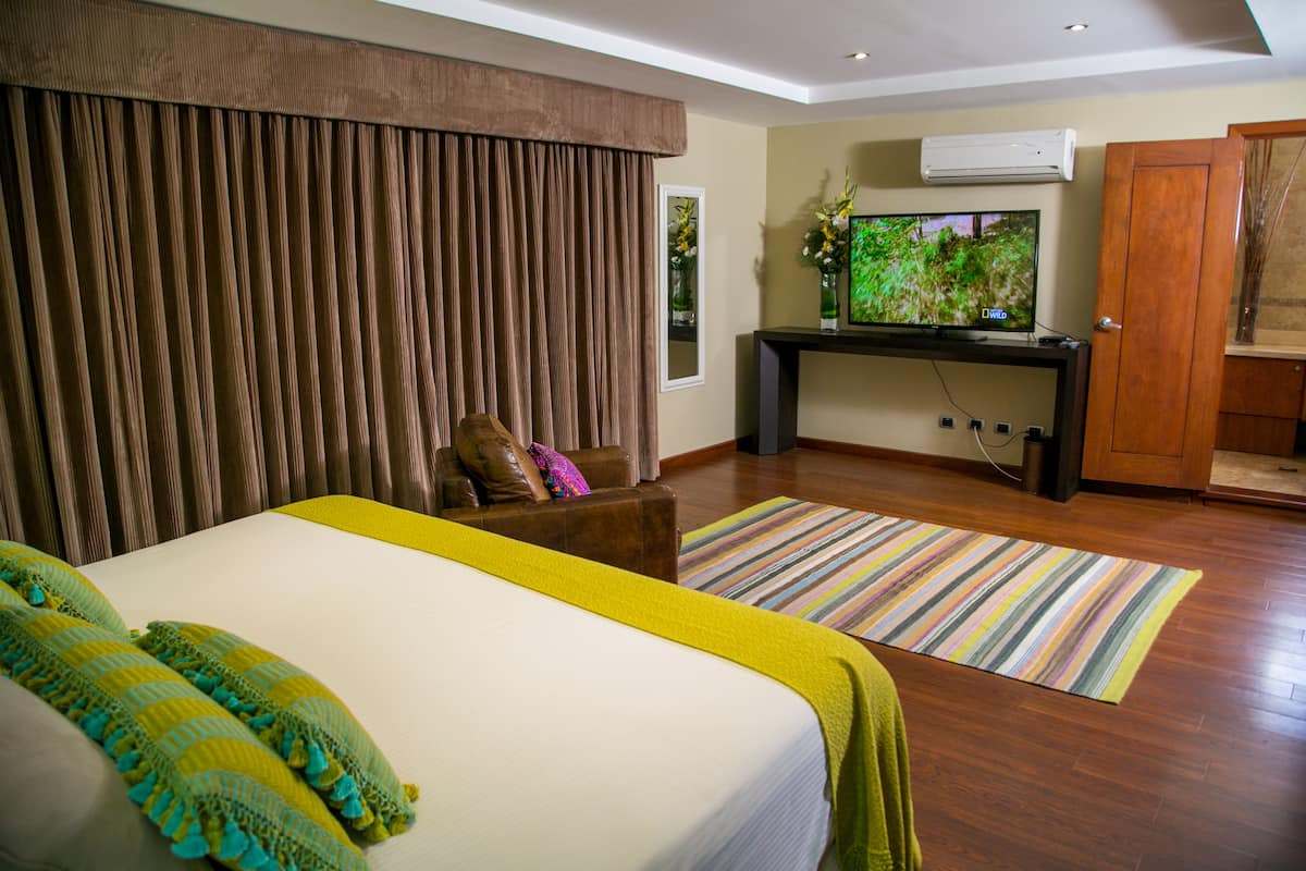 Habitación de hotel con una cama grande, un escritorio, aire acondicionado y vistas a zonas verdes.
