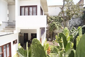 A two-story building with a balcony, a garden with cacti, and a tree.