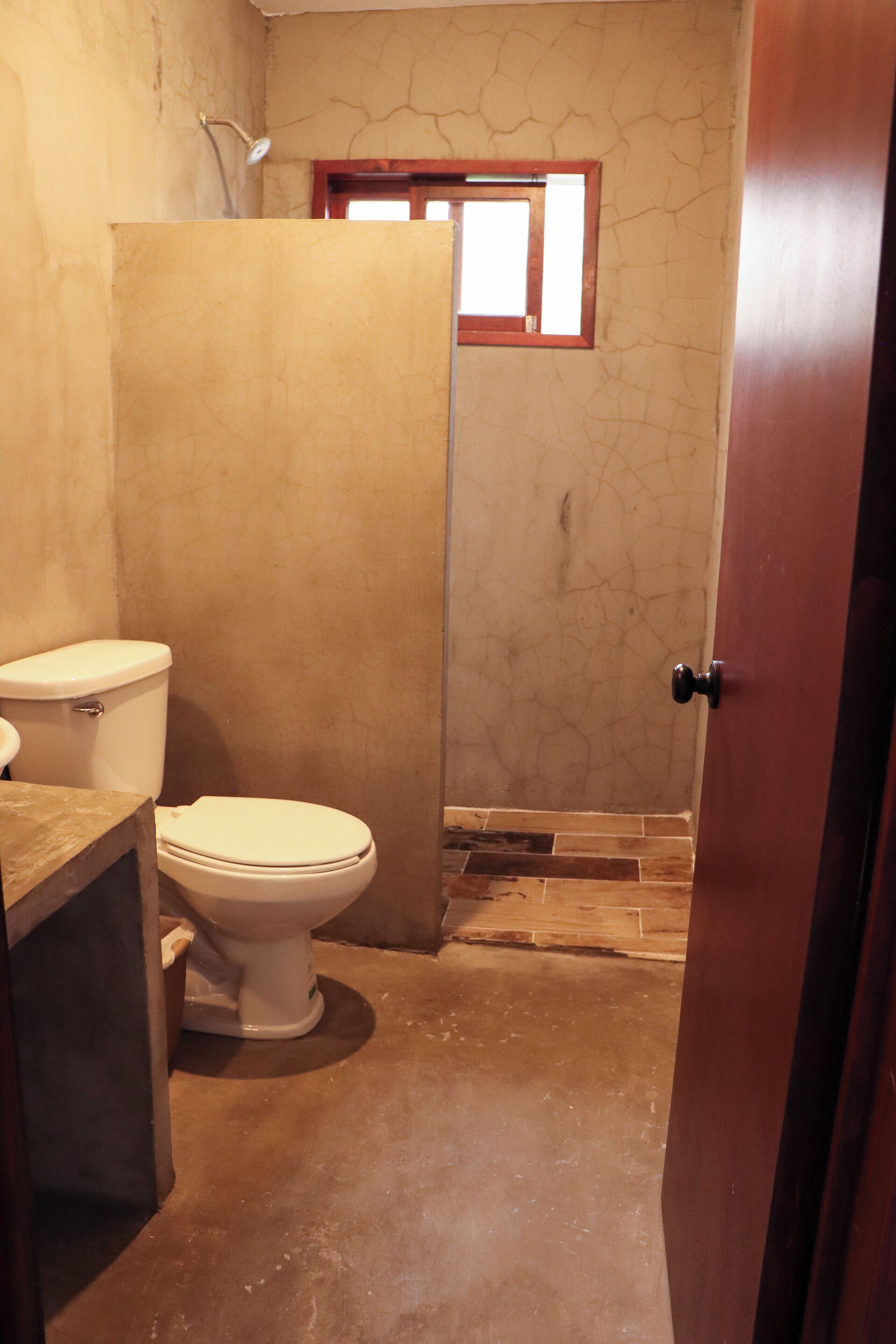 A bathroom with a toilet, a shower enclosure, and a wooden door.