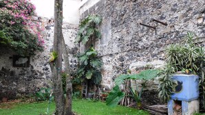 Un patio con un muro de piedra, un árbol y diversas plantas en macetas.
