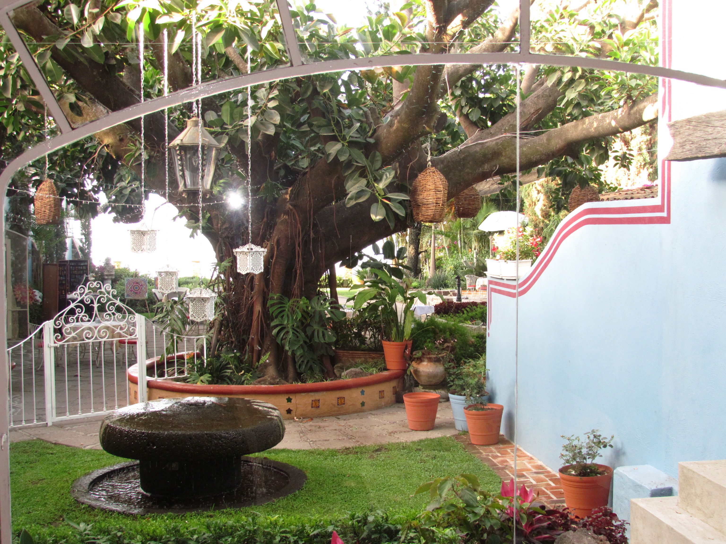 Jardines del alojamiento