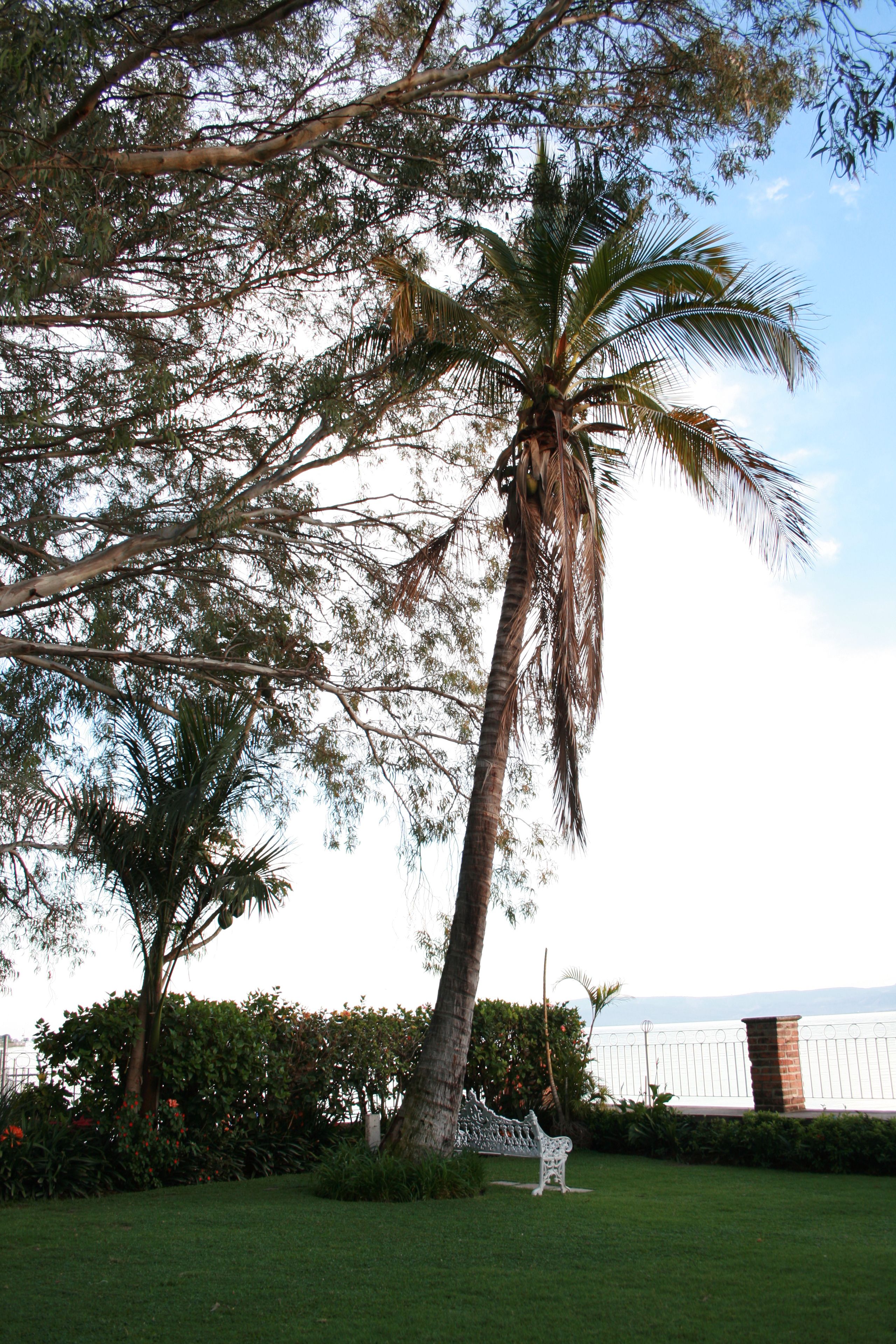 Overnatningsstedets område