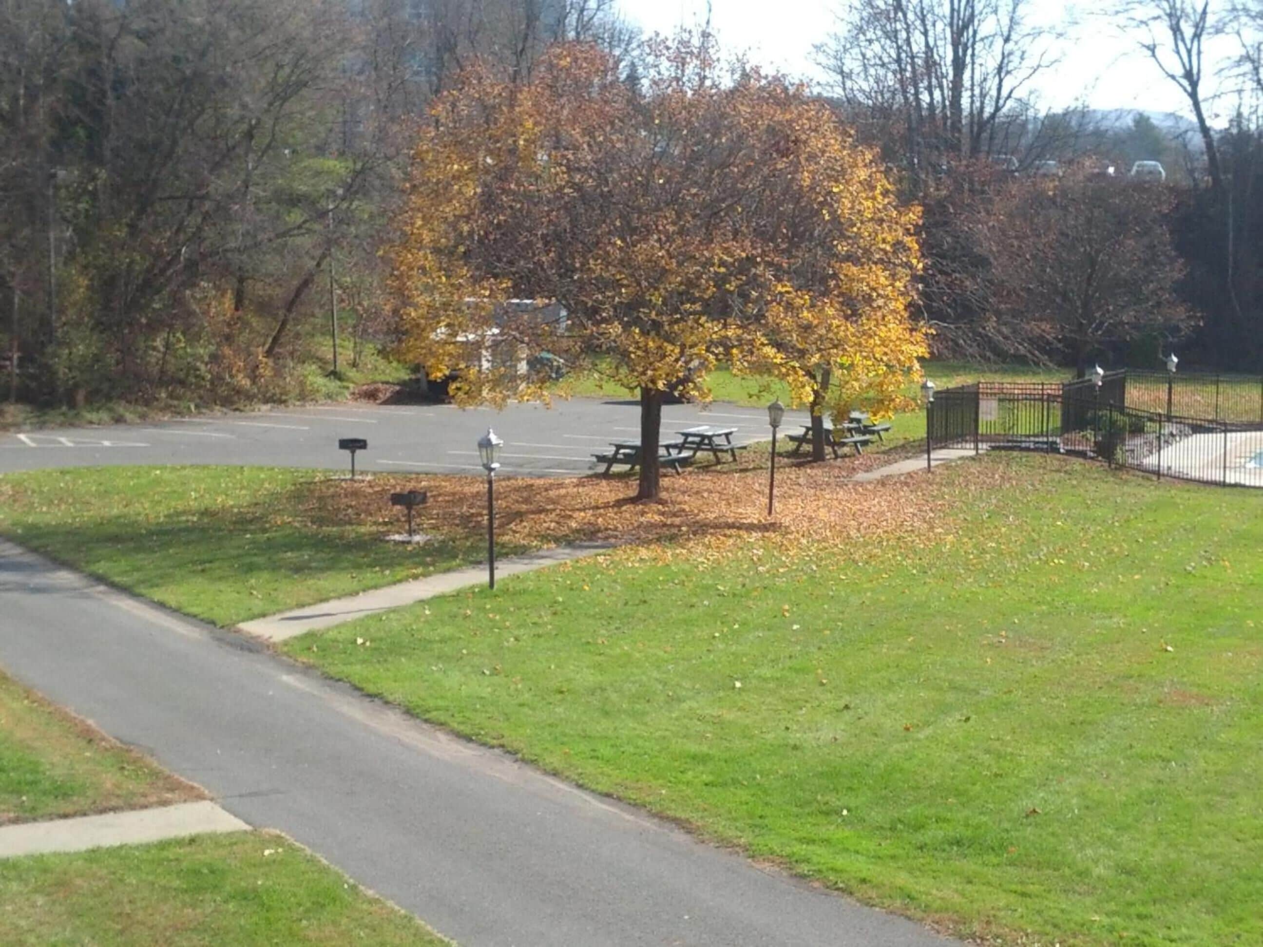 Un parque con mesas de picnic, un camino pavimentado y un árbol de hojas amarillas.
