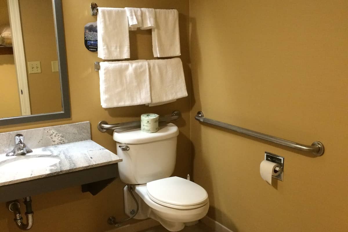 A bathroom with a toilet, sink, mirror, towel rack, and handrail.