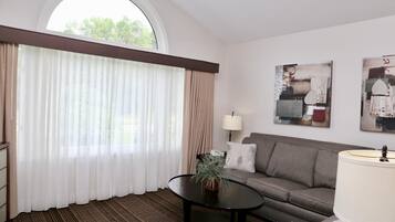 43-inch flat-screen TV with satellite channels, TV