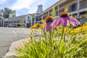 Estacionamento sem manobrista (sujeito a cobrança)