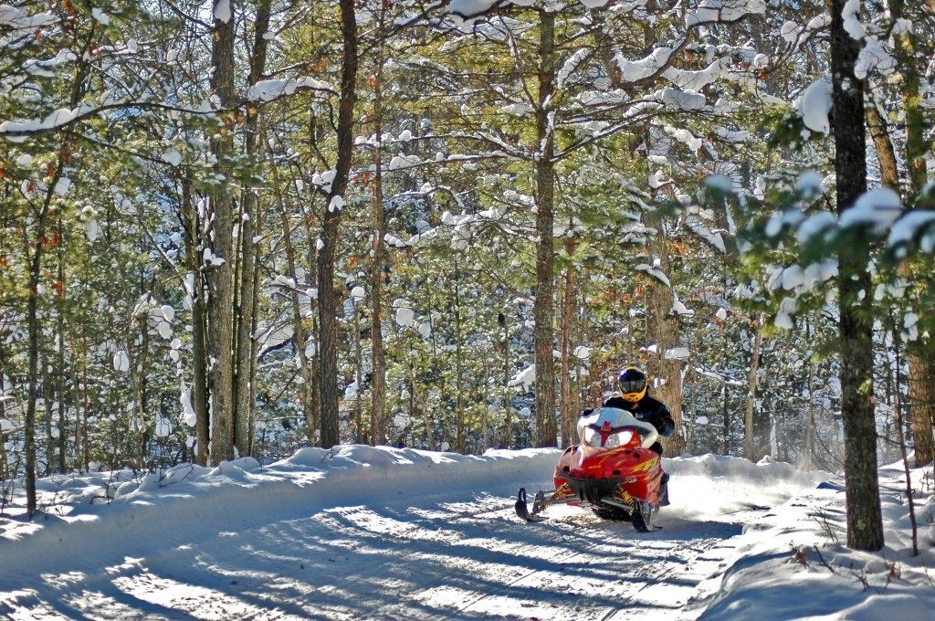 A person riding a snowmobile through a snowy forest.