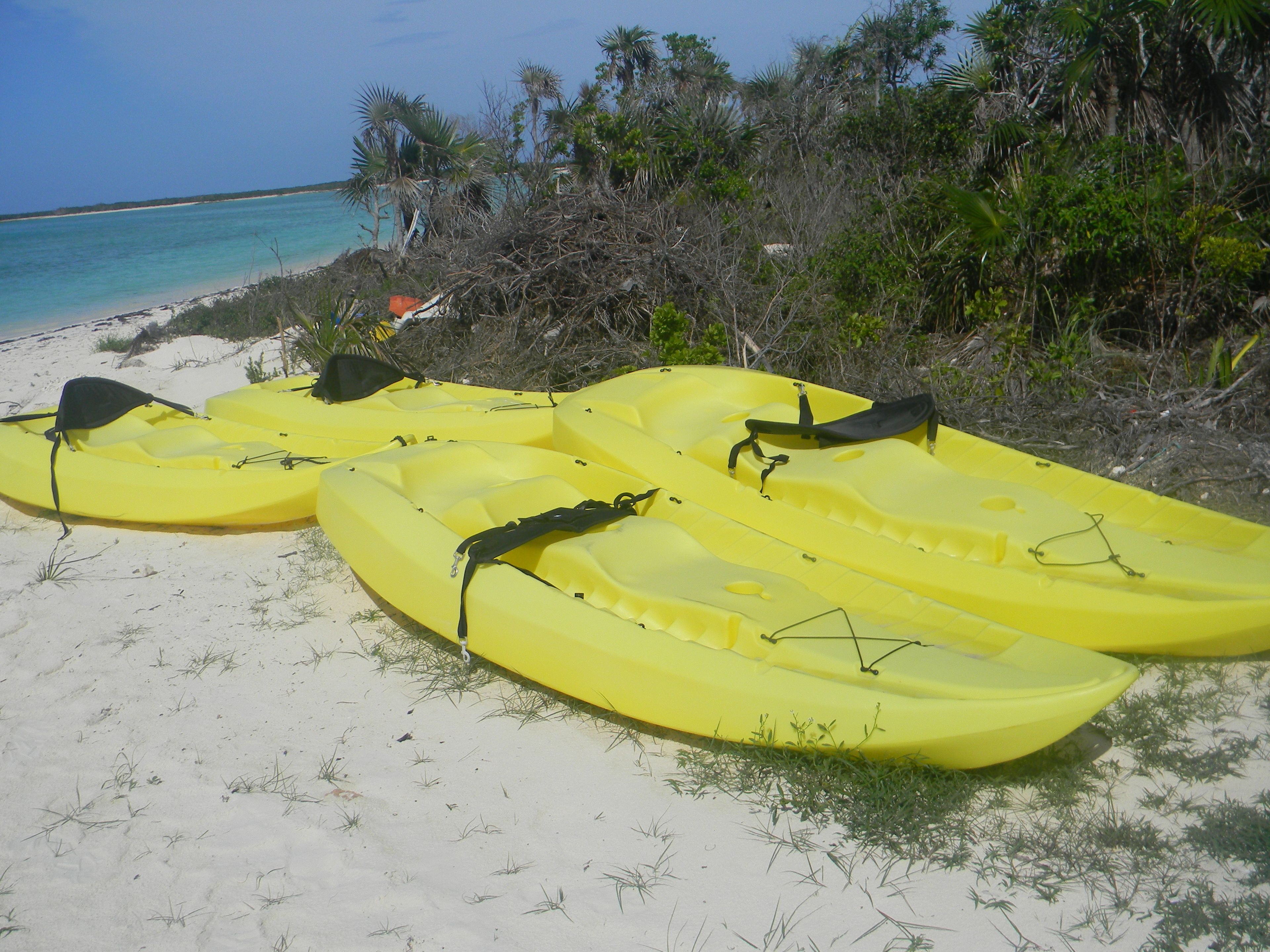 A sandy beach with several yellow kayaks lined up.