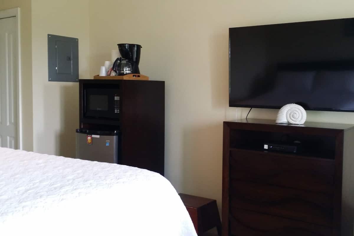 Une chambre d’hôtel équipée d’un lit, d’une télévision, d’un four à micro-ondes et d’un réfrigérateur.