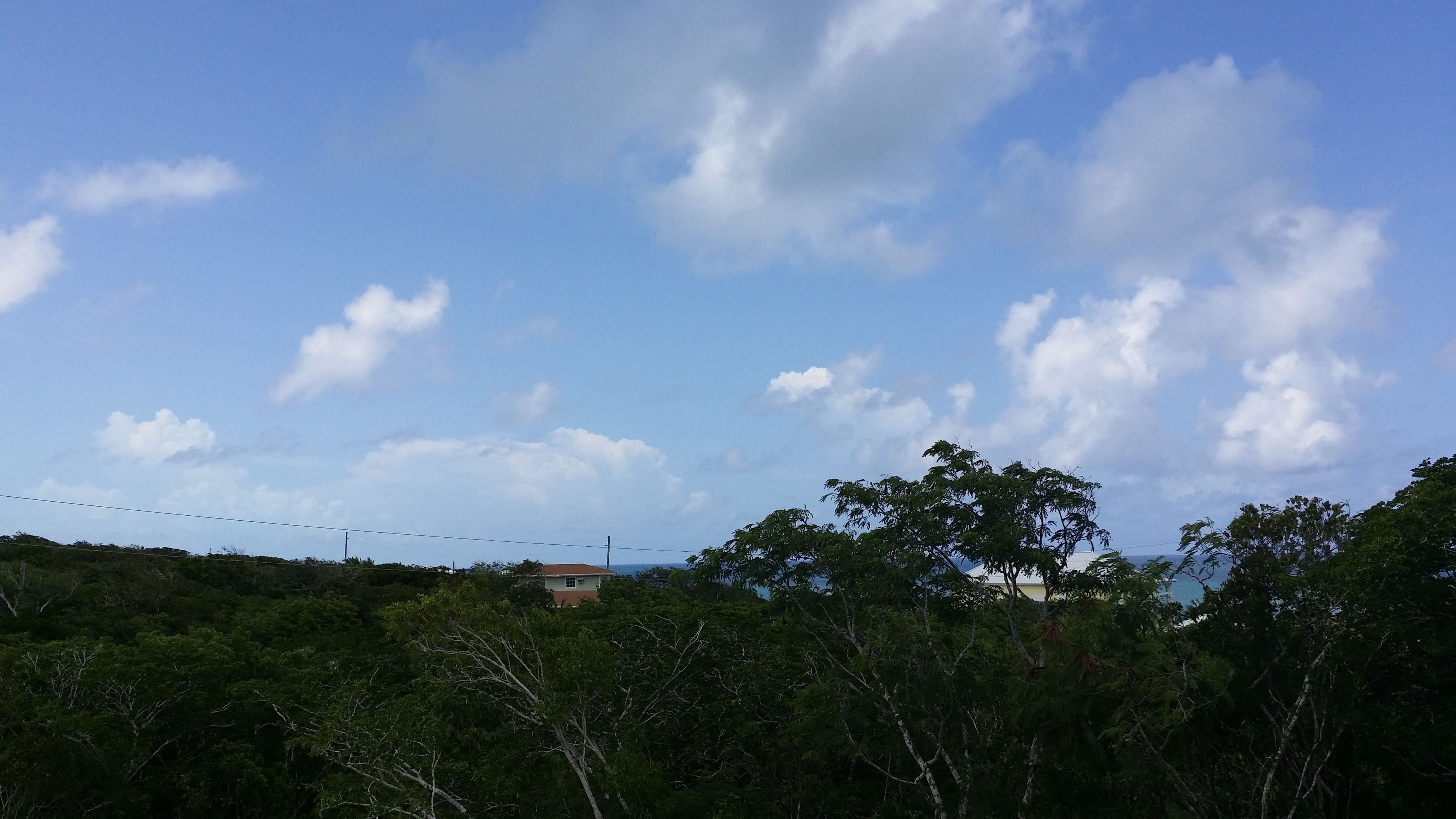 A landscape with a clear sky, trees, and a distant building.