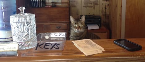 Un mostrador de recepción de madera con un cartel de 'No Fumar', un recipiente de vidrio, un letrero que dice 'LLAVES', un gato y un teléfono inteligente.
