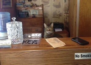 Animaux de compagnie acceptés