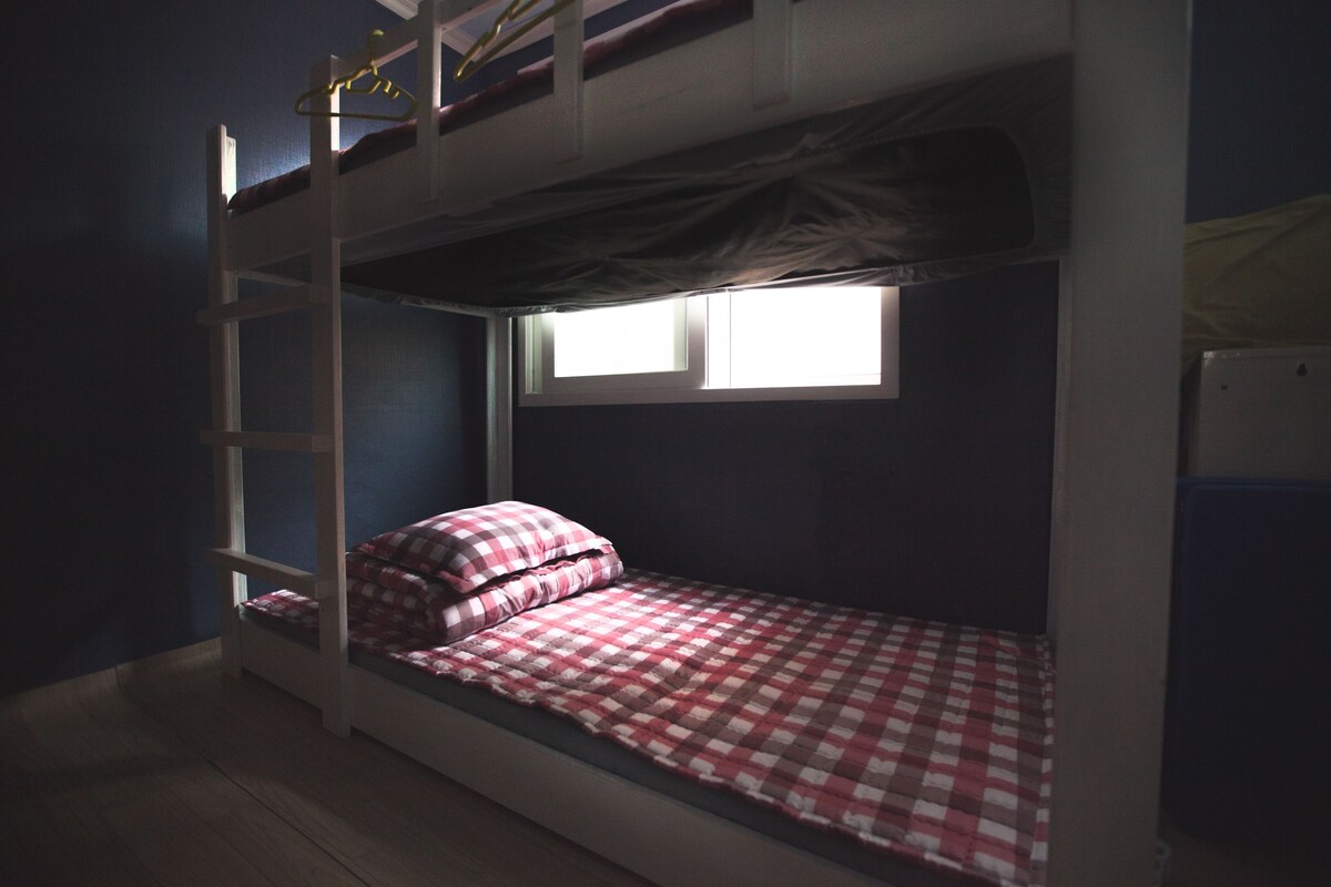 A bunk bed with a checkered bedspread, a ladder, and a window.