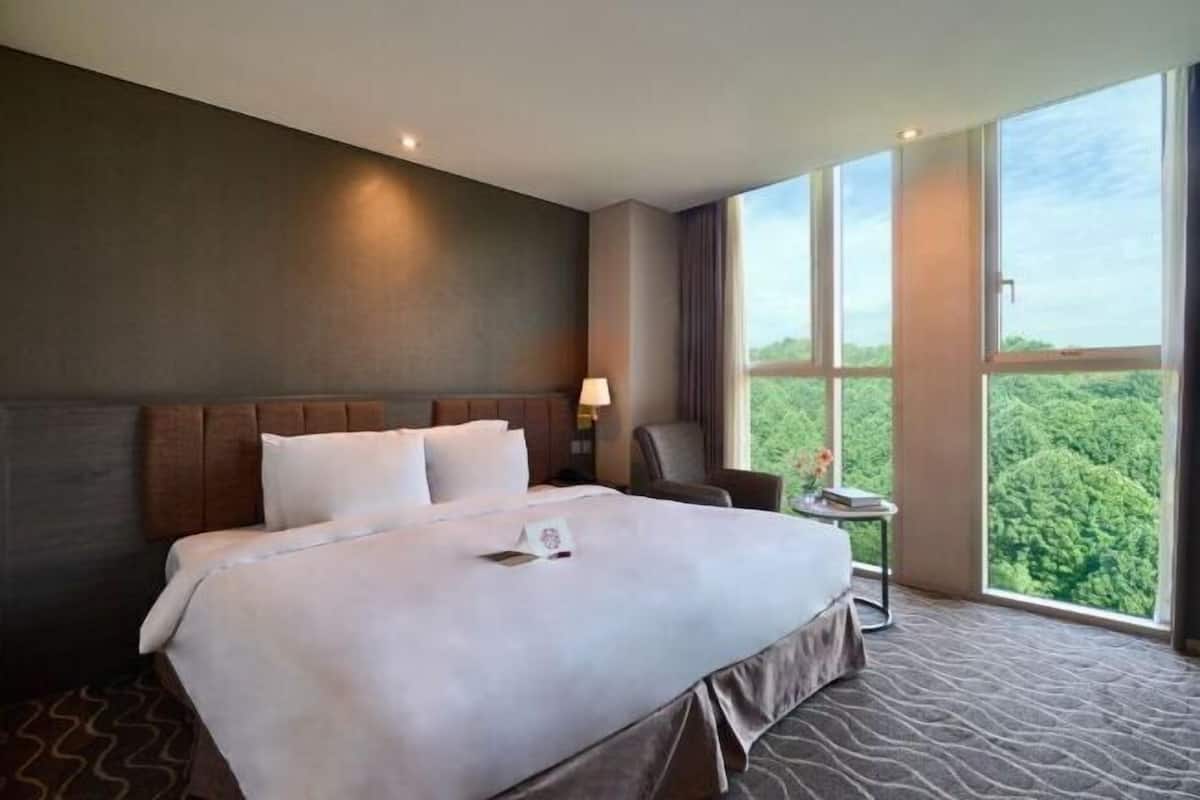 1 habitación y ropa de cama de alta calidad