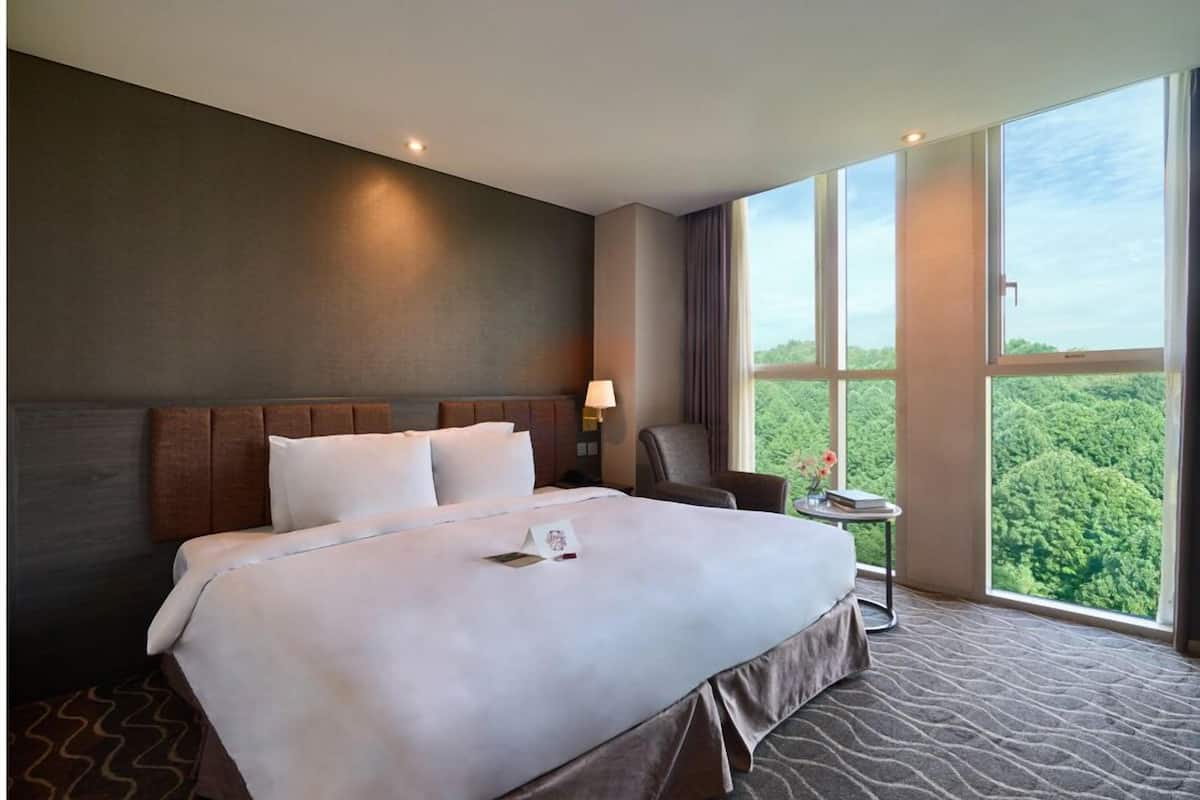 1 habitación y ropa de cama de alta calidad