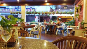 Un ristorante con tavoli e sedie rotondi, piante in vaso e vista sulla strada.