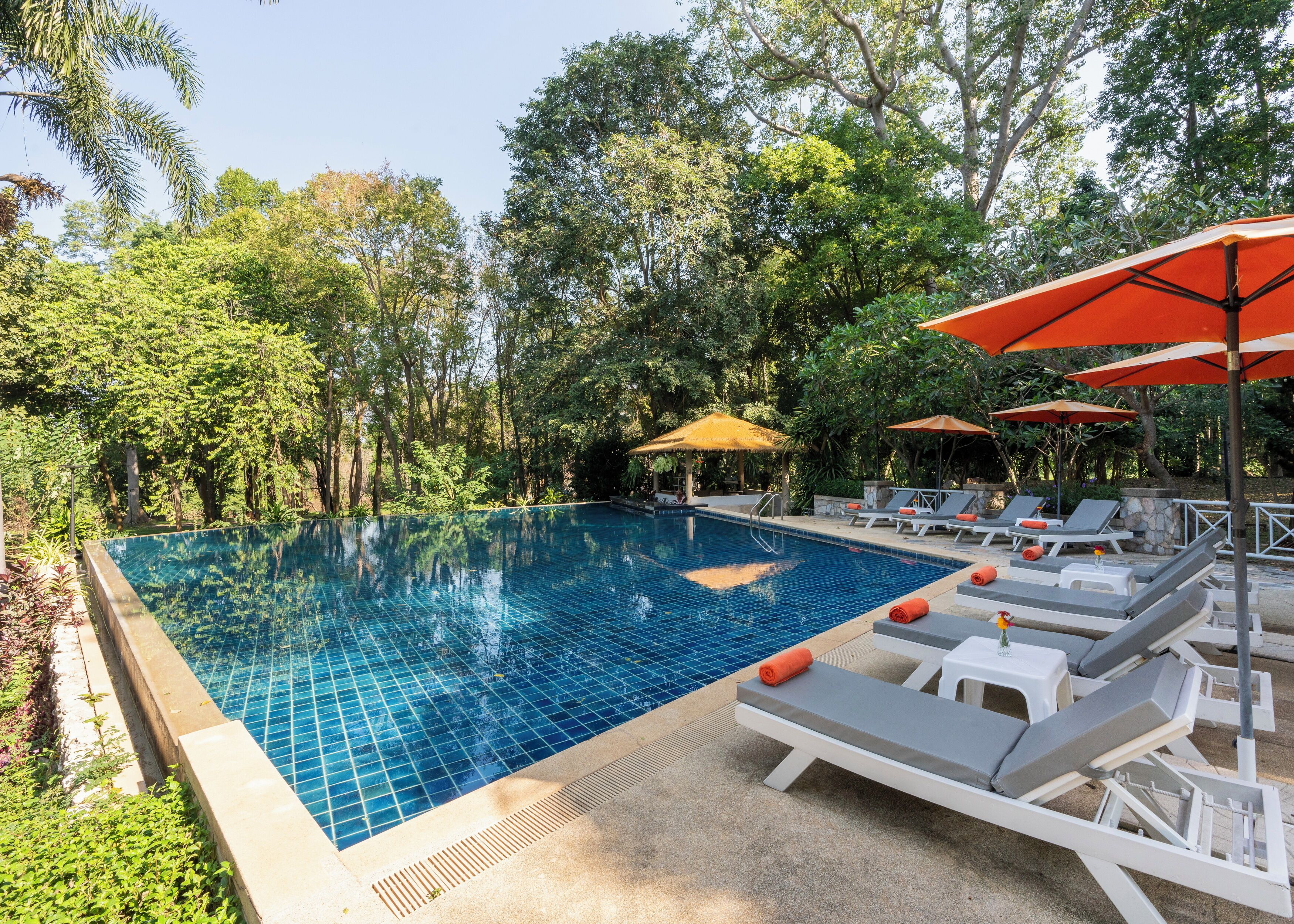 Outdoor pool, pool umbrellas, pool loungers