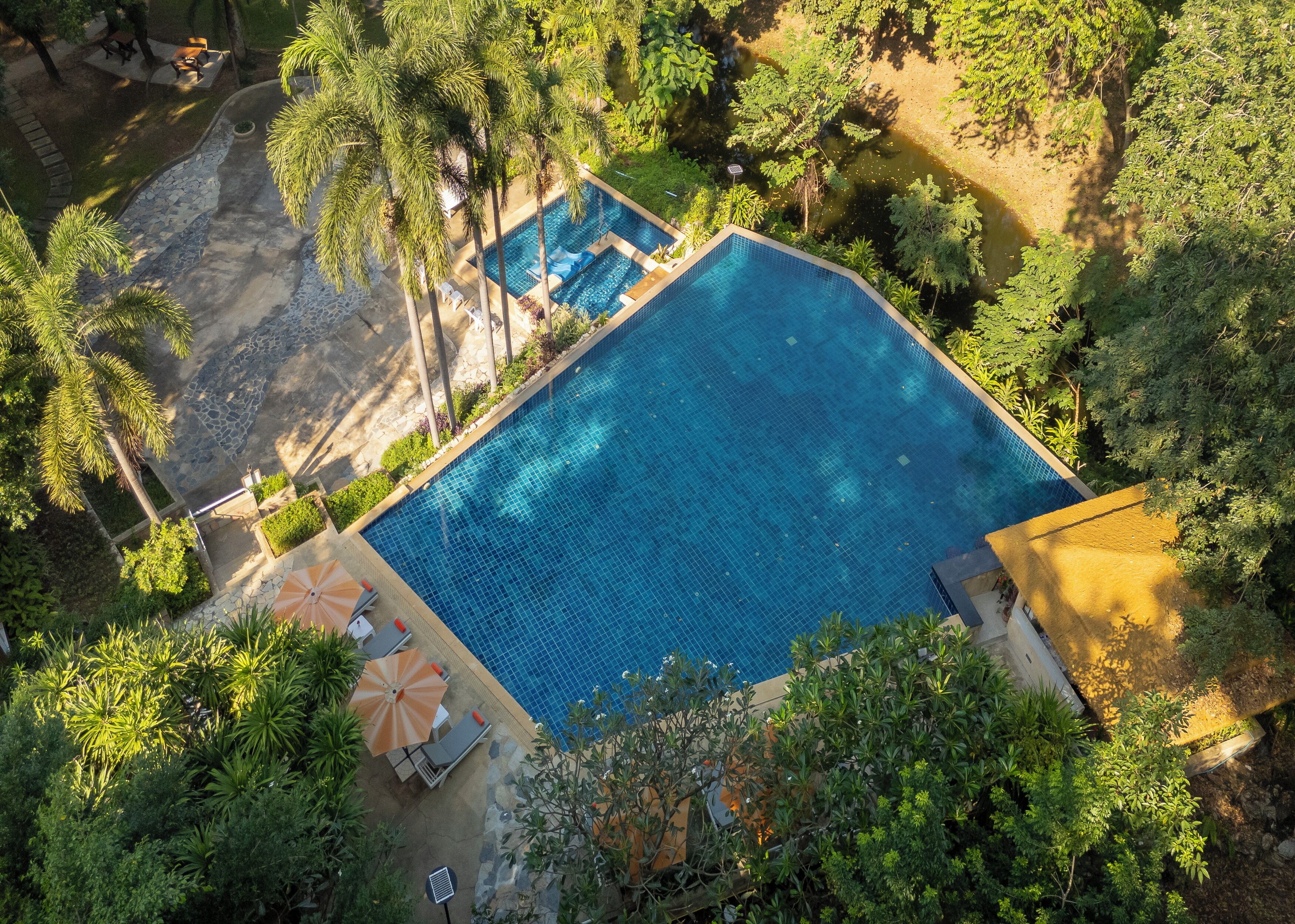 Vista aérea de una piscina cuadrada rodeada de abundante vegetación y un sendero de piedra.