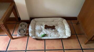 Pet-friendly accommodations offer a cozy bed and essentials for a comfortable stay.