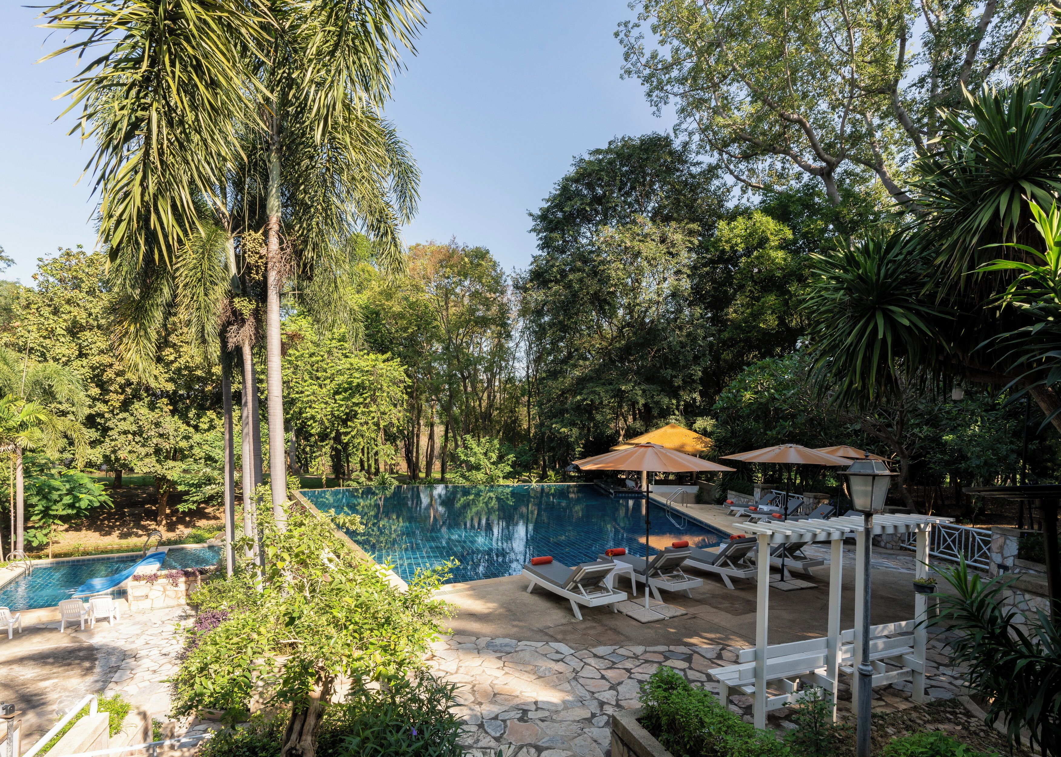 Une piscine entourée d’une végétation luxuriante, avec des chaises longues et des parasols pour se détendre.
