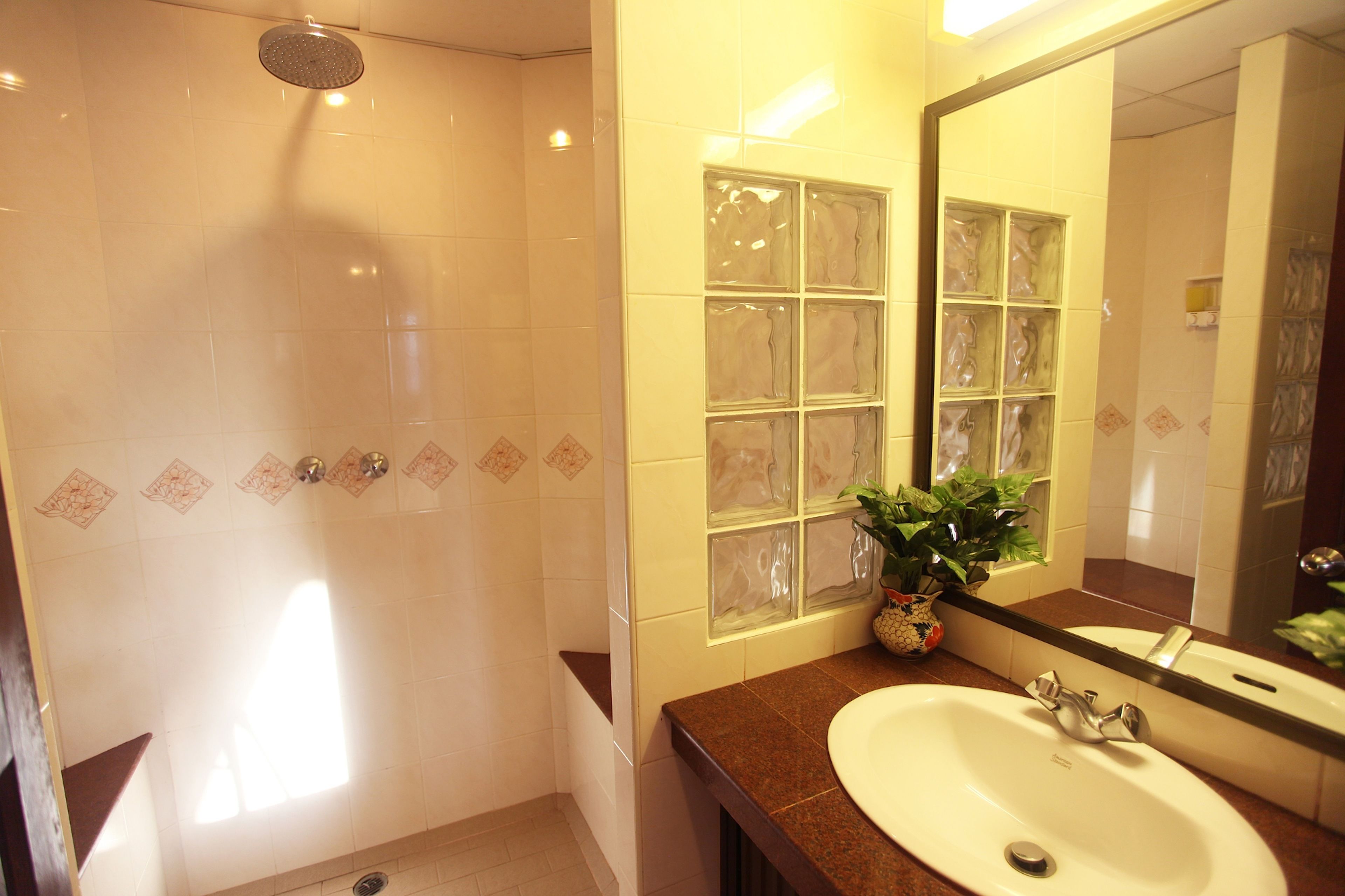 shower, hydromassage showerhead, free toiletries, hair dryer