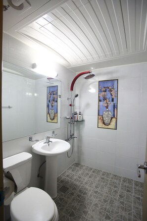 Regadera y secadora de cabello 