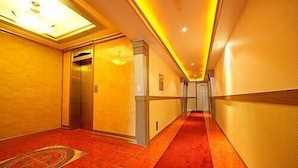 Un pasillo de hotel con alfombra roja, un ascensor y una lámpara en el techo.