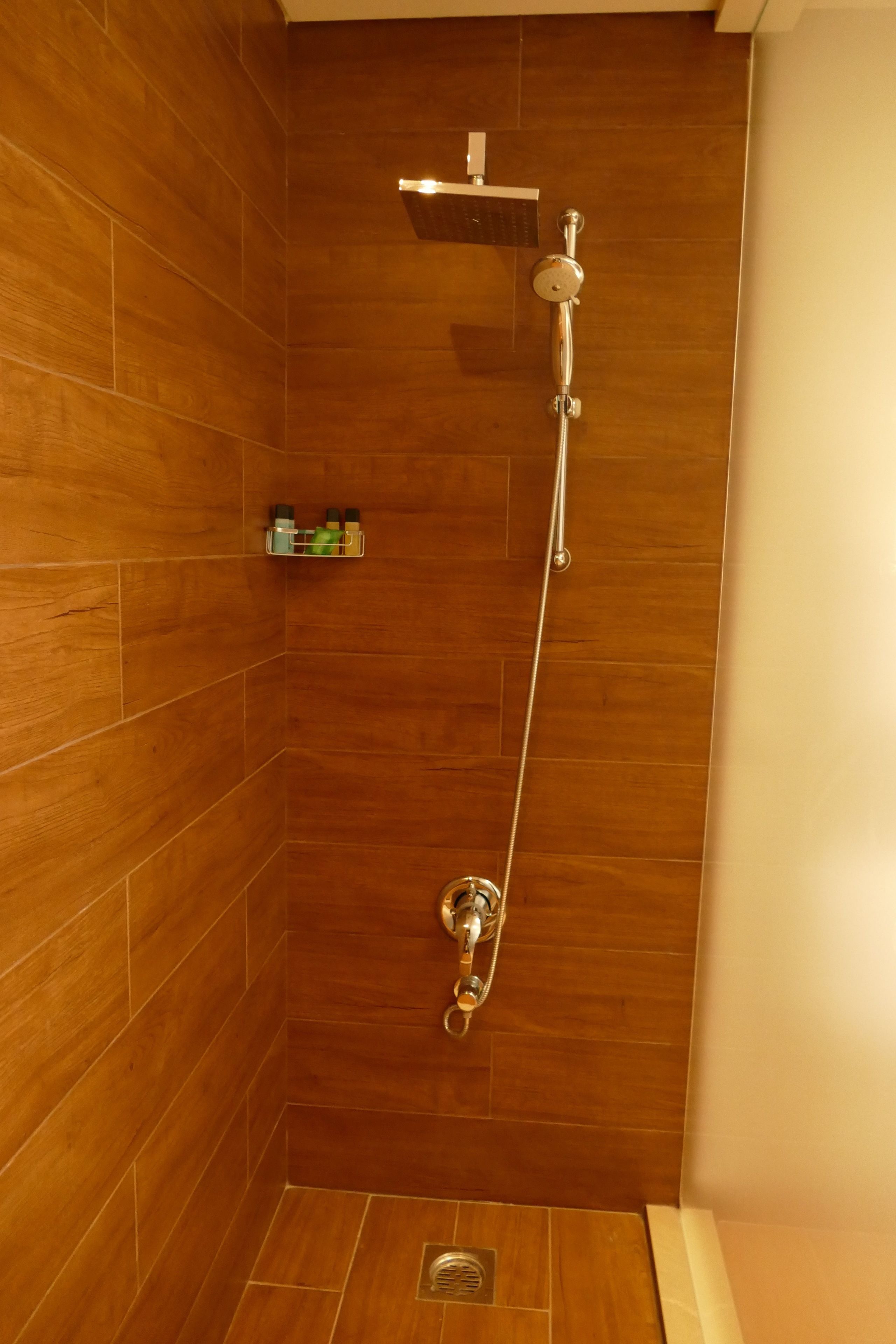 A shower with a handheld showerhead and a wall-mounted control.