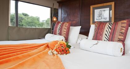 The Springbok Lodge