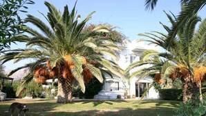 A house surrounded by palm trees and a well-maintained lawn. - Gorgona Hotel (Malevizi)